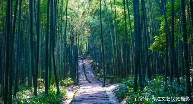 雨崩徒步路线攻略_7-8月份避暑最佳地方_避暑胜地云南香格里拉旅游攻略