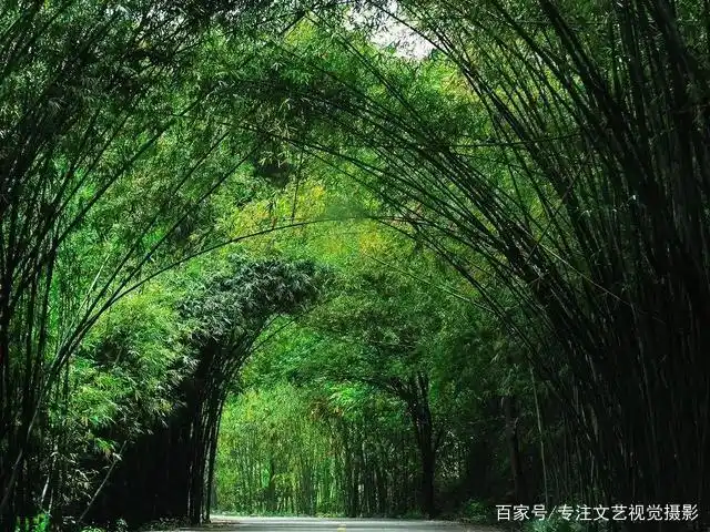 7-8月份避暑最佳地方_避暑胜地云南香格里拉旅游攻略_雨崩徒步路线攻略