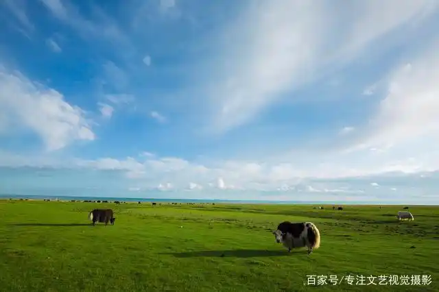雨崩徒步路线攻略_避暑胜地云南香格里拉旅游攻略_7-8月份避暑最佳地方
