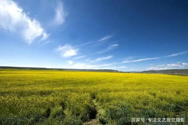 7-8月份避暑最佳地方_雨崩徒步路线攻略_避暑胜地云南香格里拉旅游攻略