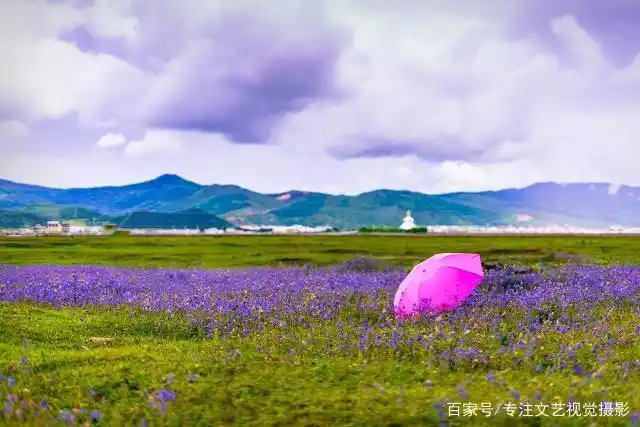 雨崩徒步路线攻略_7-8月份避暑最佳地方_避暑胜地云南香格里拉旅游攻略