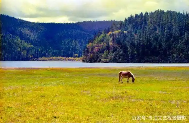 避暑胜地云南香格里拉旅游攻略_7-8月份避暑最佳地方_雨崩徒步路线攻略