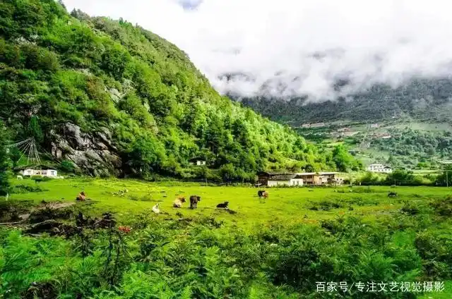 雨崩徒步路线攻略_7-8月份避暑最佳地方_避暑胜地云南香格里拉旅游攻略