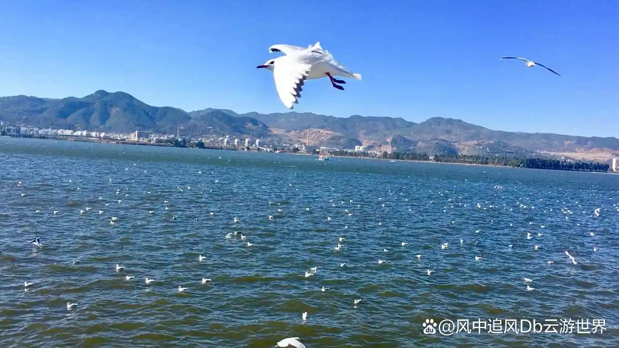 七八月旅游推荐_避暑旅游胜地_7-8月份避暑最佳地方