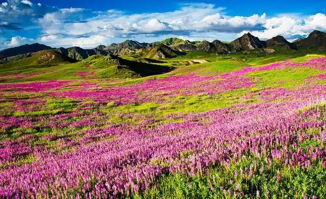 夏季避暑胜地_普者黑荷花旅游_7-8月份避暑最佳地方