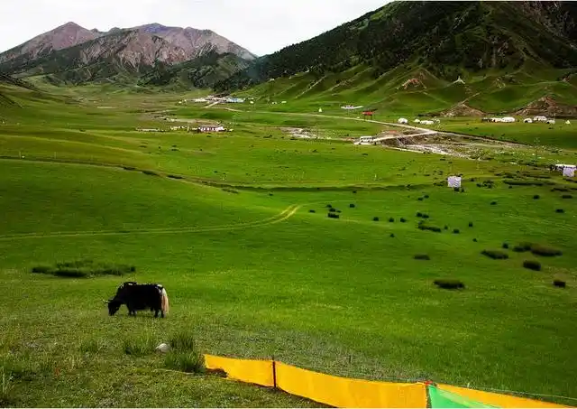 夏季避暑胜地_7-8月份避暑最佳地方_普者黑荷花旅游