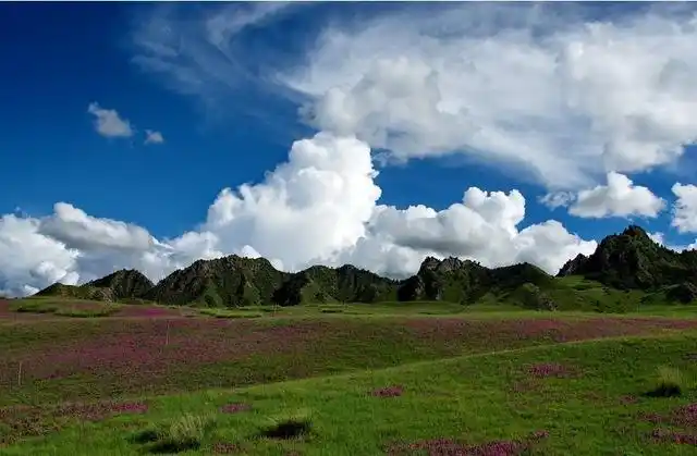 7-8月份避暑最佳地方_普者黑荷花旅游_夏季避暑胜地