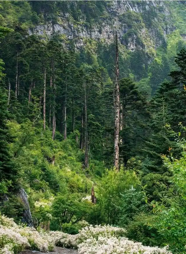 普者黑荷花旅游_夏季避暑胜地_7-8月份避暑最佳地方