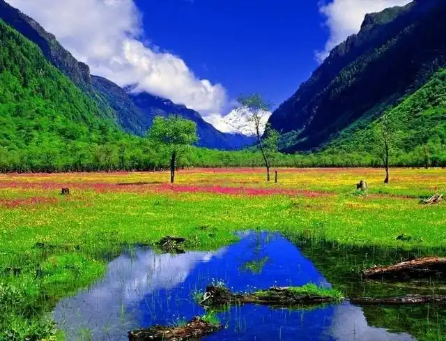 夏季避暑胜地_7-8月份避暑最佳地方_普者黑荷花旅游