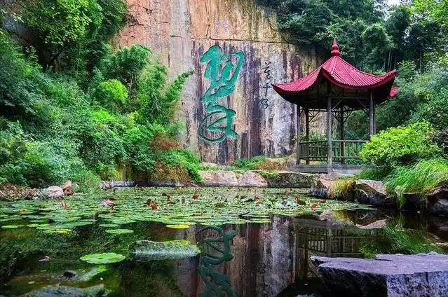 普者黑荷花旅游_夏季避暑胜地_7-8月份避暑最佳地方