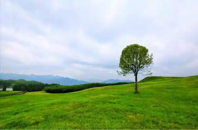 普者黑荷花旅游_7-8月份避暑最佳地方_夏季避暑胜地