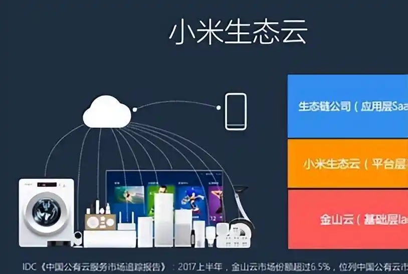 小米2024年新车_小米智能电动车市场分析_小米汽车