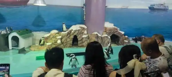 哈尔滨夏季美食攻略_7-8月份避暑最佳地方_哈尔滨避暑旅游